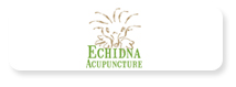 Echidna Acupuncture