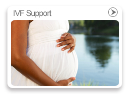 IVF support